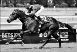  ?? Picture: JC Photos ?? The Ormond Ferraris-trained CAPTAIN OF TORTUGA runs in race seven at the Vaal tomorrow. Piere Strydom rides.