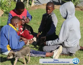  ?? Foto: Jannie du Plessis ?? Hierdie kinders bring gereeld hulle diere vir ondersoeke en kos na die DBV op Mosselbaai.