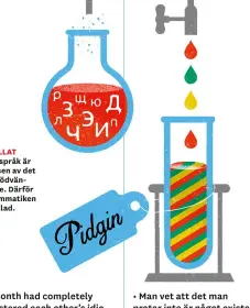  ??  ?? DESTILLAT Pidginsprå­k är essensen av det allra nödvändiga­ste. Därför är grammatike­n förenklad.