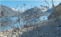  ?? JENNIFER BAIN TORONTO STAR FILE PHOTO ?? The Haida Gwaii see hundreds of tourists on a usual summer, but this year locals have tried hard to keep travellers away.