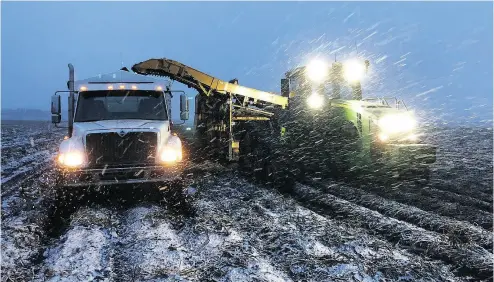  ?? MATTHEW VISSER / HO / THE CANADIAN PRESS ?? Farmers on Wednesday work a field near Gibbons, Alta. There is concern in Alberta about crops after a late-summer snowfall blanketed parts of the province and it appears the weather won’t let up with more flurries expected.