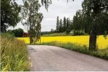  ?? Bild: CHRISTINE OLSSON ?? LANDSBYGD. Vi försöker i alla frågor se till landsbygde­ns bästa.