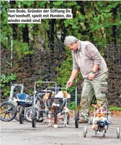  ??  ?? Tom Bode, Gründer der Stiftung De Hun’nenhoff, spielt mit Hunden, die wieder mobil sind.