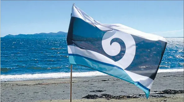  ??  ?? Flying proudly: Anderson’s flag on the beach at Pukerua Bay.