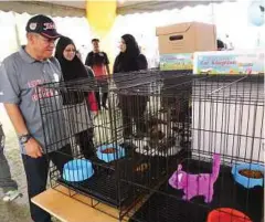  ??  ?? KUCING angkat turut menjadi perhatian
Datuk Bandar Shah Alam Datuk Ahmad Zaharin Mohd Saad.