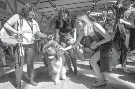  ?? XINHUA ?? Passengers show interest in a pet dog at Toronto Airport. The airport introduced trained pet dogs to the terminal building to help ease passengers’ stress and anxiety.