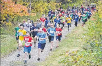  ?? ERIC MCCARTHY/JOURNAL PIONEER ?? A tight pack of runners navigate the first wooded leg of their race during Saturday’s Prince Edward Island School Athletic Associatio­n provincial novice boys’ cross-country race at Mill River.