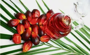  ??  ?? Red palm oil’s intense colour is due to its carotene (pro-vitamin A) content; it has one of the highest carotene content in the plant kingdom. — MPOC