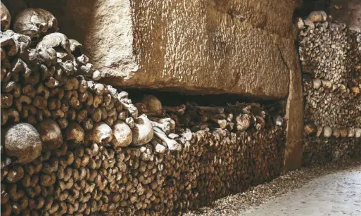  ?? ?? 巴黎地下墓穴的牆上排­滿骷髏，這裡埋葬了約600萬­人遺骸。
（取自官網）