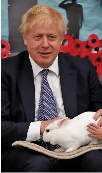  ??  ?? Rosie the Rabbit gets some attention from the PM