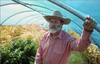  ?? Marcio Jose Sanchez/Associated Press ?? Jean Gaillard stands in a greenhouse where he grows produce to sell to local residents Sept. 21 in New Cuyama, Calif. Mr. Gaillard is a minimal water user trying to conserve by alternatin­g rows of squash between corn stalks and capturing rainwater on the roof of a barn.