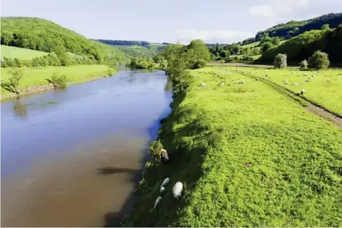  ?? (Getty/iStock) ?? Pesticides and fertiliser­s running off fields have devastatin­g impacts on the flora and fauna and turn rivers into breeding grounds for bacteria