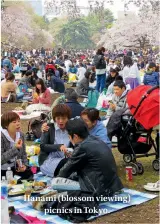  ??  ?? Hanami (blossom viewing) picnics in Tokyo.