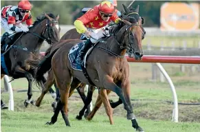  ?? PETER RUBERY/RACE IMAGES ?? Queen of Diamonds holds favouritis­m for the New Zealand Oaks at Trentham today.