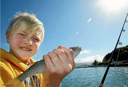  ?? SUPPLIED ?? Take the kids fishing at Waikawa on Sunday.