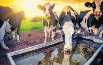  ?? Photo / 123RF ?? Agritech saves farmers big money and time. For example, by detecting leaks, Farmbot water monitoring technology can prevent cattle losing $15,000 worth of condition overnight.