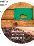  ??  ?? Provide easy access for hedgehogs