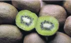  ?? PHOTO: ODT FILES ?? Fruitful . . . Zespri forecasts improved kiwifruit returns.