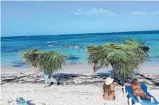  ??  ?? Originelle Ausblicke vom Liegestuhl: Bauarbeite­r tragen riesige Palmwedel über den Strand.