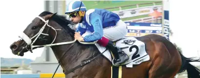  ?? Picture: JC Photograph­ics ?? JULY TRIO. Hawwaam is one of three horses already being tipped to fight out the finish of the Vodacom Durban July this year.