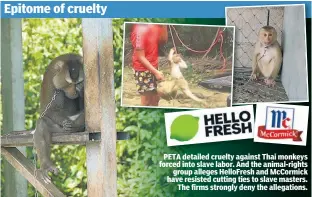  ?? ?? PETA detailed cruelty against Thai monkeys forced into slave labor. And the animal-rights group alleges HelloFresh and McCormick have resisted cutting ties to slave masters. The firms strongly deny the allegation­s.