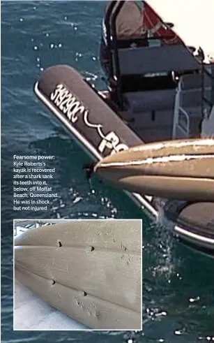  ??  ?? Fearsome power: Kyle Roberts’s kayak is recovered after a shark sank its teeth into it, below, off Moffat Beach, Queensland. He was in shock but not injured