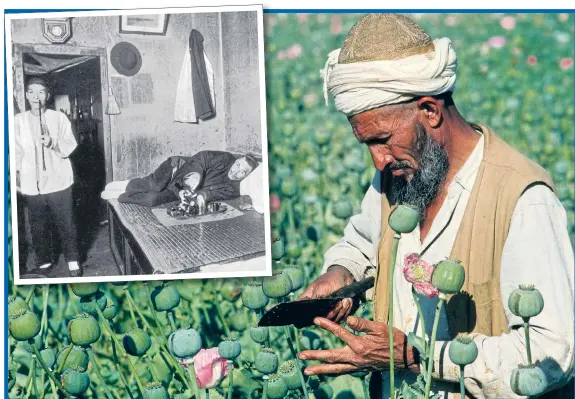  ??  ?? ILLEGAL HIGHS: A farmer tends an opium poppy field in Iran, formerly known as Persia. Inset, the typical image of an opium den in the 19th century