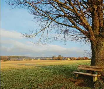  ??  ?? Blick auf Pflaumdorf, die Ortschaft, in der Inge Graf daheim ist.