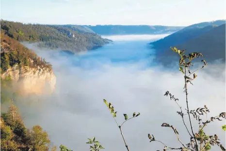  ?? FOTO: JÖRG NÄDELIN ?? Malerisch erscheint das Donautal im Nebel.