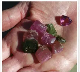  ??  ?? At Oceanview Mine, you’ll find precious and semi-precious gemstones like these tourmaline­s that can be faceted into treasures.