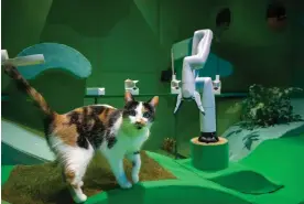  ?? Photograph: David JW Bailey/Stephen Daly ?? Blast Theory’s Cat Royale, 2023. A videoed experiment measuring cats’ reactions to being looked after by a robot.