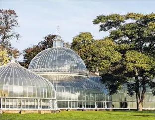  ?? PHOTOGRAPH­S BY ROBERT ORMEROD FOR THE NEW YORK TIMES ?? At the Glasgow Botanic Gardens, the domed Kibble Palace is a spectacula­r glasshouse where you can explore a jungle of orchids, begonias and ferns, among other leafy treasures. Pasta at Celentano’s, opposite page.