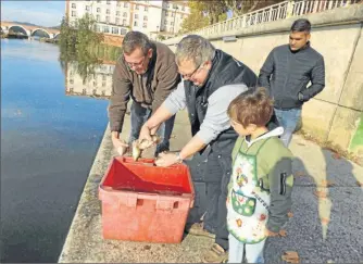  ??  ?? De superbes brochets ont été lachés dans les eaux du Tarn par l’associatio­n de pêche le Parfait Pêcheur