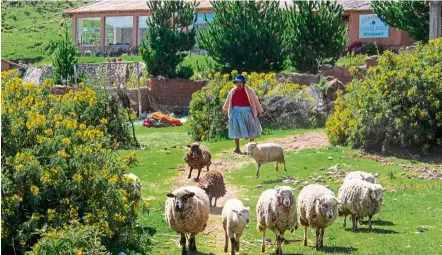  ??  ?? Luquina Chico offers visitors a chance to live in a rural community that has changed little over the decades.