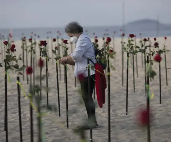  ?? Silvia Izquierdo/ap ?? Een vrouw plaatst een roos ter nagedachte­nis van de 500.000 covid-slachtoffe­rs op het strand van Copacabana, in Rio de Janairo.