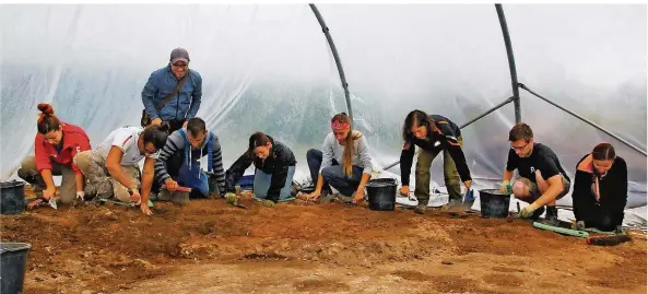  ?? FOTO: WOLFGANG DEGOTT ?? Einige der Teilnehmer des Grabungsca­mps bei ihrer Arbeit unter dem Folientunn­el über dem Boden des Nebengebäu­des. Fachkundig­e Unterstütz­ung gibt der Grabungsle­iter Michael Ecker (stehend), der sich die Arbeiten ansieht.