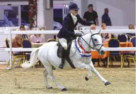  ??  ?? Cassie Hartley’s impressive 36-year-old Harry stands supreme veteran, with long-term loaner Megan Champney in the saddle