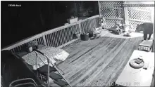  ?? SUBMITTED BY KATHLEEN TURNER ?? Security camera photos of a bear on the back porch of 45 Turner Road in the Oakdale section of Montville.
