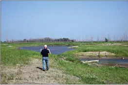  ?? GRANT SCHULTE — THE ASSOCIATED PRESS ?? Todd Bridges, a senior research scientist for the U.S. Army Corps of Engineers, walks along a new wetland area that had been flooded in 2019a few miles south of Rock Port, Missouri, on Monday.