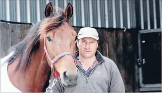  ?? Photo: FAIRFAX NZ ?? Welcome back: Former top trotter Stylish Monarch will have his first start in an attempted comeback to racing at Addington Raceway next Friday night.