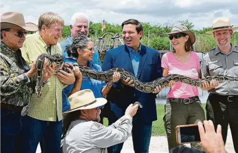  ?? Foto: Getty Images ?? S hadem Floridský guvernér Ron DeSantis (uprostřed) pomáhá držet krajtu během tradiční soutěže v lovu hadů v Everglades.