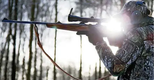  ??  ?? Jäger sehen sich auch in Thüringen mit immer schärferen Gesetzen konfrontie­rt: Der Landesjagd­verband lehnt das ab, hat in der AfD, die das Thema in einer parlamenta­rischen Anfrage aufgriff, einen Fürspreche­r gefunden. Foto: Friso Gentsch