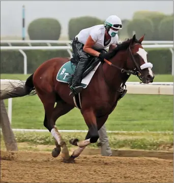  ?? SETH WENIG — THE ASSOCIATED PRESS ?? Robin Smullen rides Tiz the Law during a workout at Belmont Park in Elmont, N.Y., on Friday. Tiz the Law is a 6-5favorite for Saturday’s race.