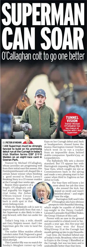  ??  ?? TUNNEL VISION Trainer Michael O’callaghan has big chance at Gowran with I Am Superman