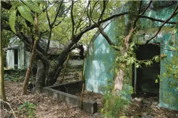  ?? AARON FAVILA/AP ?? Trees and wild vines grow beside abandoned barracks for U.S. Marines on Monday in what used to be America’s largest overseas naval base at the Subic Bay Freeport Zone, Zambales province, northwest of Manila, Philippine­s.