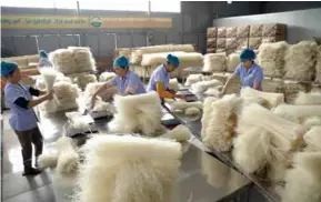  ?? VNA/VNS Photo Vũ Sinh ?? Workers pack rice noodles in Hùng Lô Cooperativ­e in Việt Trì City, Phú Thọ Province. The central bank suggests the Government issue a decree on credit policy for agricultur­al and rural developmen­t.