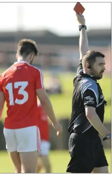  ??  ?? Patrick Reilly was one of three Louth players to receive their marching orders on Saturday night.