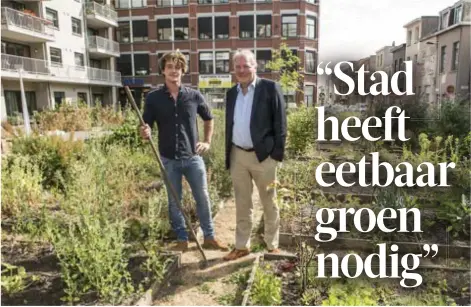  ?? FOTO DIRK KERSTENS ?? Thomas Kuyper van de UA en gedeputeer­de Ludwig Caluwé in de Belpairest­raat in Berchem. “Stadslandb­ouw levert meer dan alleen groenten op.”