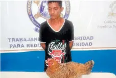  ?? FOTO: EL HERALDO ?? El hombre fue llevado a la estación policial amarrado y con la gallina en sus brazos como muestra del delito cometido.