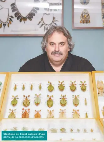  ??  ?? Stéphane Le Tirant entouré d’une partie de sa collection d’insectes.